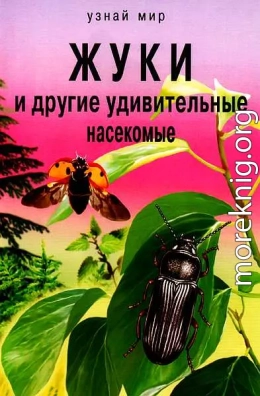 Жуки и другие удивительные насекомые