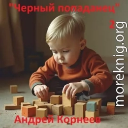 Черный попаданец 2