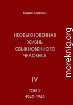 Необыкновенная жизнь обыкновенного человека. Книга 4. Том 2