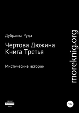 Чертова Дюжина. Книга Третья