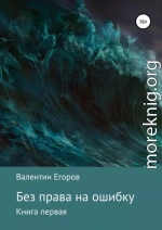 Без права на ошибку. Книга первая