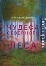 Чудеса северного леса