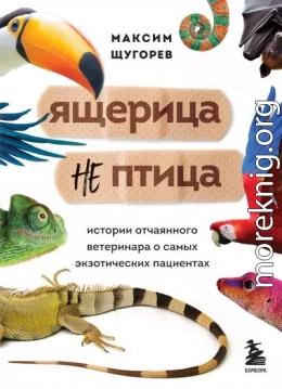 Ящерица не птица. Истории отчаянного ветеринара о самых экзотических пациентах