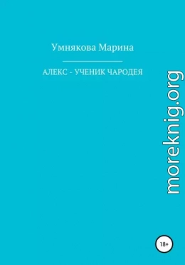 Алекс – ученик чародея