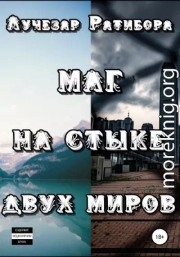 Маг на стыке двух миров