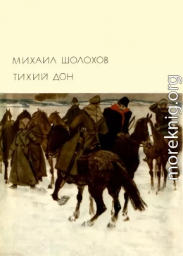 Тихий Дон. Книги 3-4