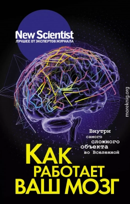 Как работает ваш мозг. Внутри самого сложного объекта во Вселенной