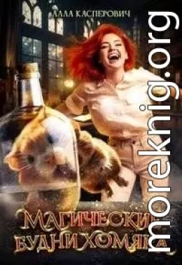 Магические будни хомяка