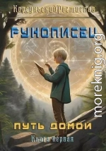 Рунописец. Путь домой (СИ)