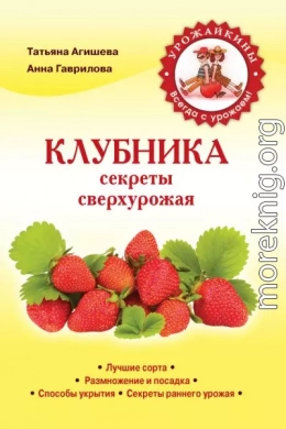 Клубника. Секреты сверхурожая