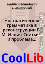 Ностратическая грамматика в реконструкции В. М. Иллич-Свитыча и проблема генетических связей этрусского языка