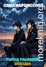 Город упавшей звезды