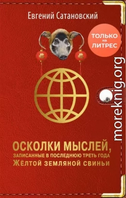 Осколки мыслей, записанные в последнюю треть года Жёлтой Земляной Свиньи