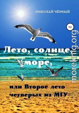 Лето, солнце, море, или Второе лето четверых из МГУ