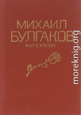 Том 2. Рассказы и фельетоны