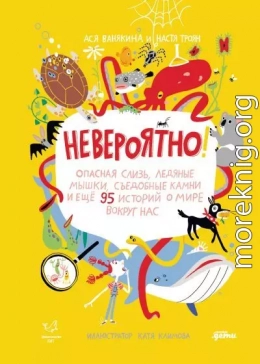 Невероятно! Опасная слизь, ледяные мышки, съедобные камни и еще 95 историй о мире вокруг нас