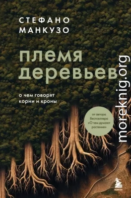 Племя деревьев. О чем говорят корни и кроны