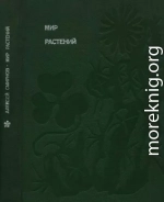 Мир растений: Рассказы о саксауле, селитрянке, баобабе, березах, кактусах, капусте, банксиях, молочаях и многих других широко известных и редких цветковых растениях