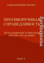 Противоречивая справедливость. Деградация постсоветской России. Что дальше? Книга 2