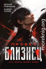 Проект «Близнец»