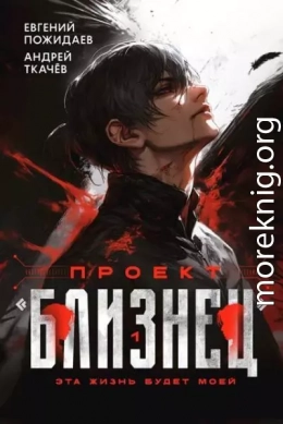Проект «Близнец»