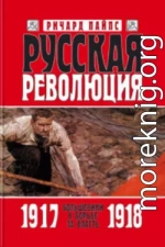 Русская революция. Книга 2. Большевики в борьбе за власть. 1917—1918