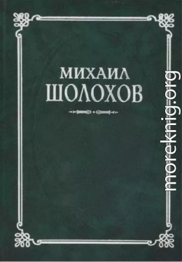 Кривая стежка