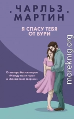 Я спасу тебя от бури