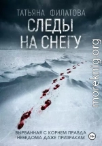 Следы на снегу
