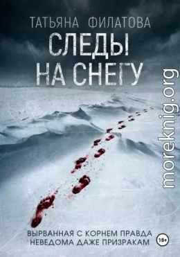 Следы на снегу