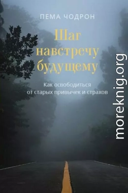 Шаг навстречу будущему. Как освободиться от старых привычек и страхов