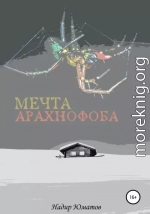 Мечта арахнофоба