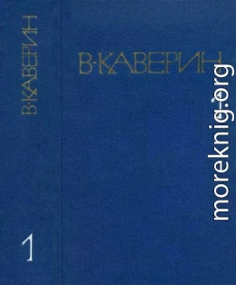 Рассказы и повести. Скандалист, или вечера на Васильевском острове.