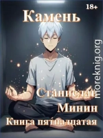 Камень Книга 15