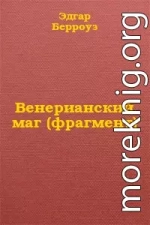 Венерианский маг (фрагмент)