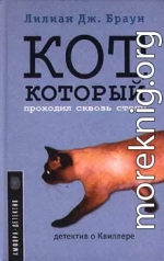 Кот, который проходил сквозь стены