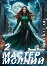 Мастер молний. Книга II