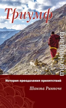 Триумф. История преодоления препятствий