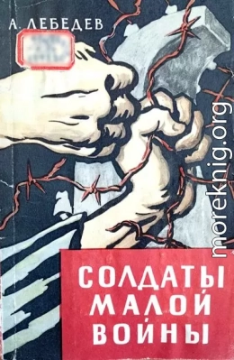 Солдаты малой войны
