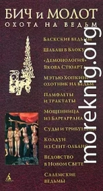 Бич и молот. Охота на ведьм в XVI-XVIII веках (с иллюстрациями)