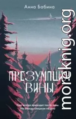 Презумпция вины [litres]