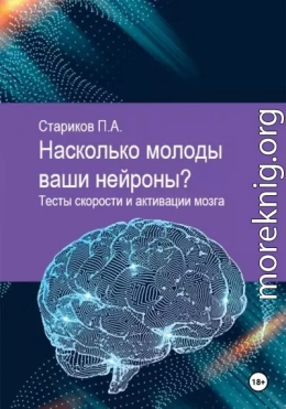 Насколько молоды ваши нейроны. Тесты скорости и активации мозга