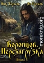 Воронцов. Перезагрузка. Книга 4