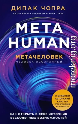 Metahuman. Метачеловек. Как открыть в себе источник бесконечных возможностей