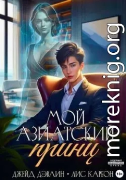 Мой азиатский принц-чеболь