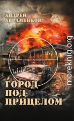 Город под прицелом