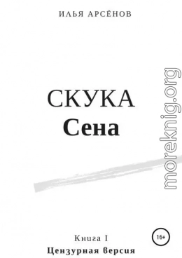 Сен. Книга первая. Скука Сена