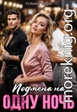 Подмена на одну ночь