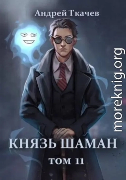 Князь шаман. Том 11