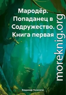 Попаданец в Содружество